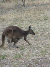 Mum and bub.