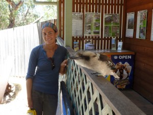 Jules and a very tame kookaburra