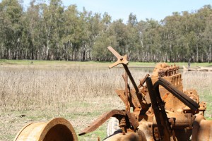 Vintage tractor in an outback paddock.