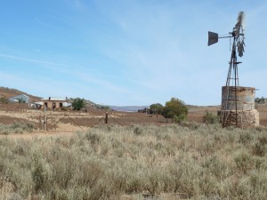 Abandoned farmland